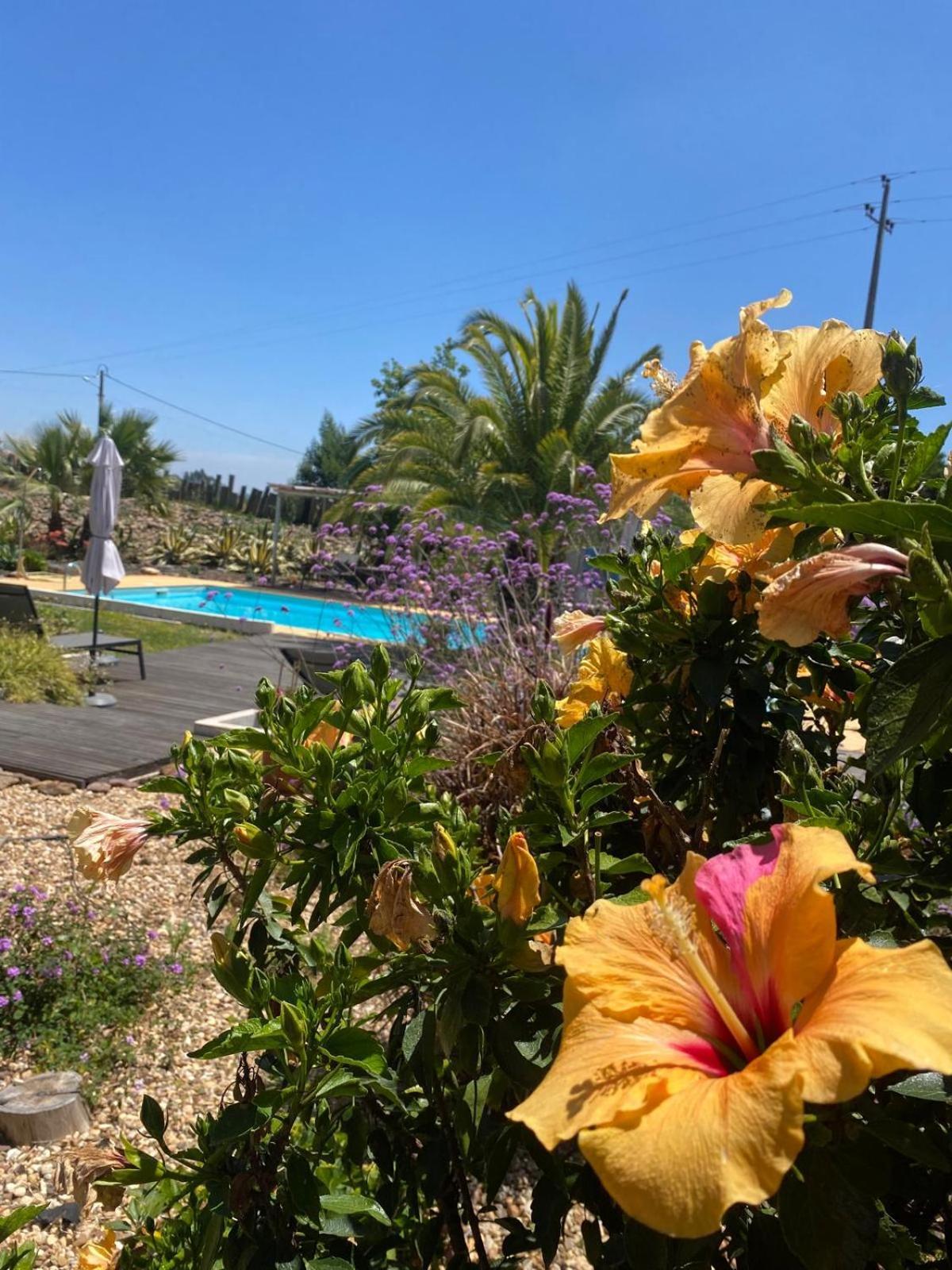 Quinta Cunte - Casa Sobreiro Villa São Luís Buitenkant foto